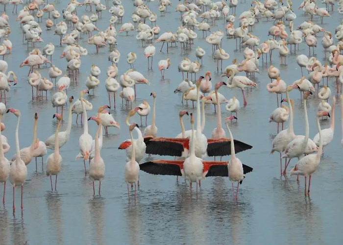 Chalet GarciaCasa Rural